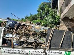 Best Scrap Metal Removal  in Twin Lakes, VA